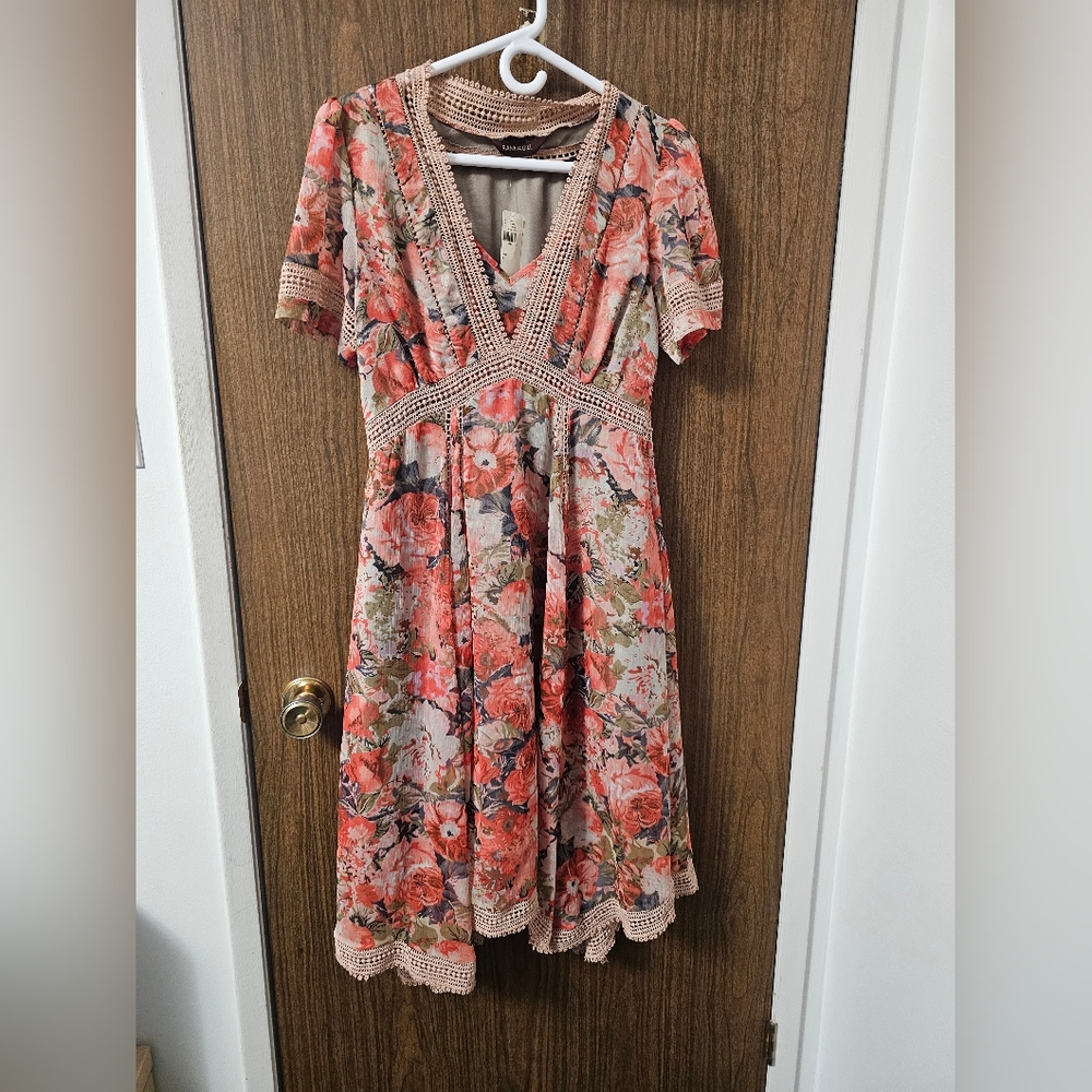 Anthropology Dress